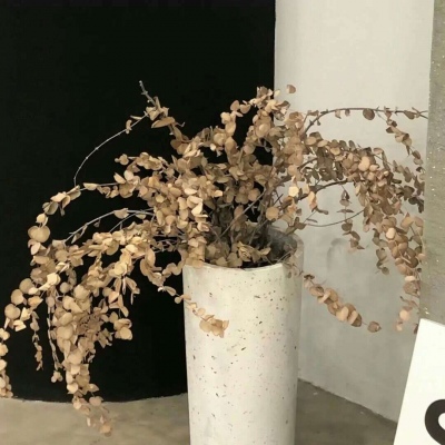 Furry绘画原创技巧Furry群